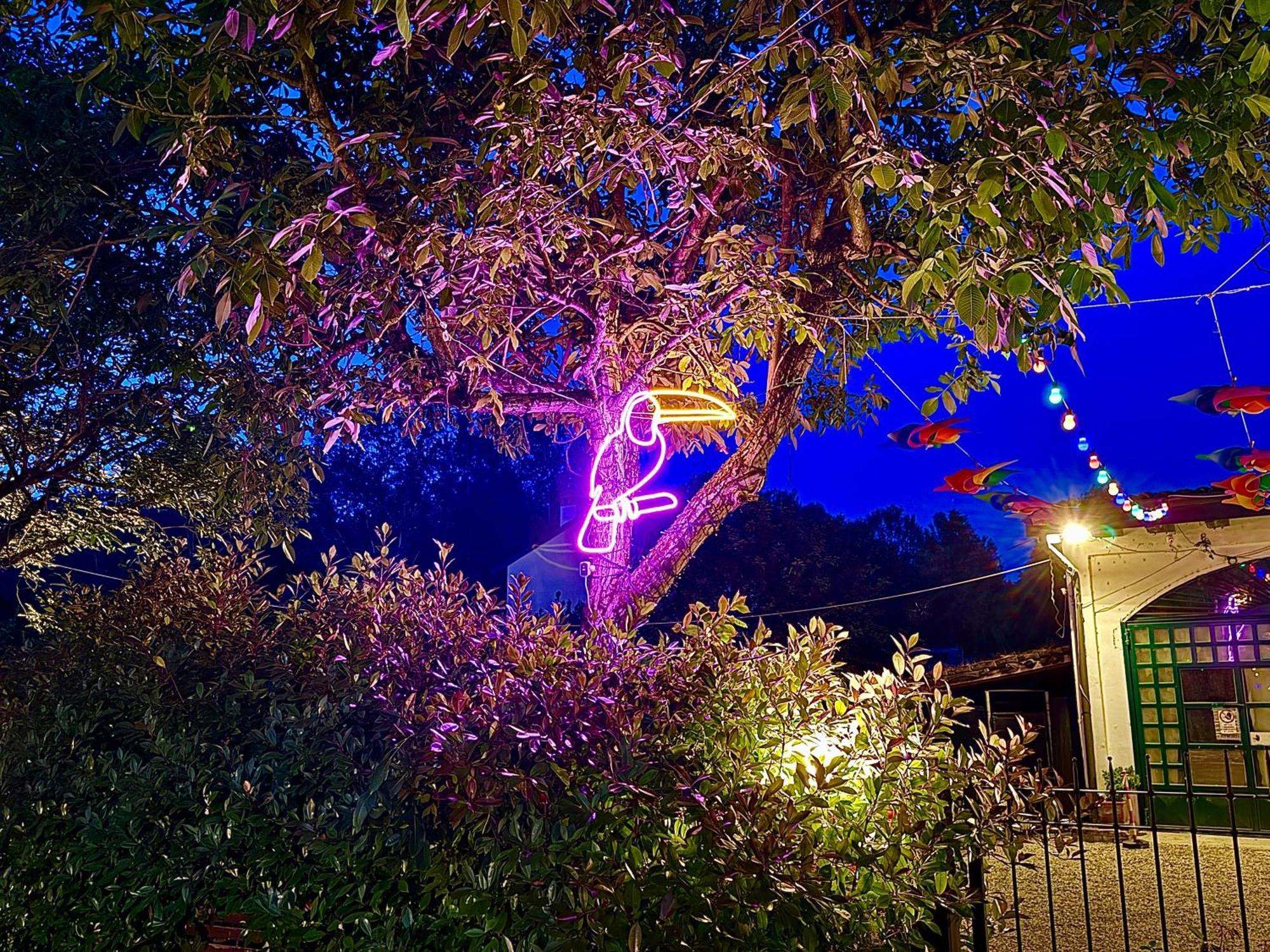 B&B La Borasca Casalpusterlengo Dış mekan fotoğraf